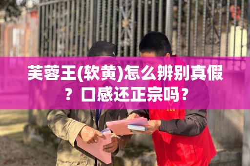 芙蓉王(软黄)怎么辨别真假？口感还正宗吗？
